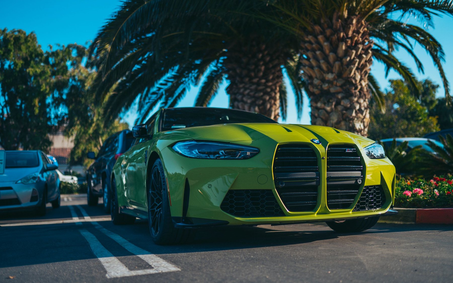 Yellow BMW M4 G82 parked under a palm tree
